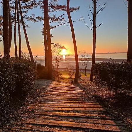 Maison Vue Sur Le Bassin, Proche Du Centre 아르카숑