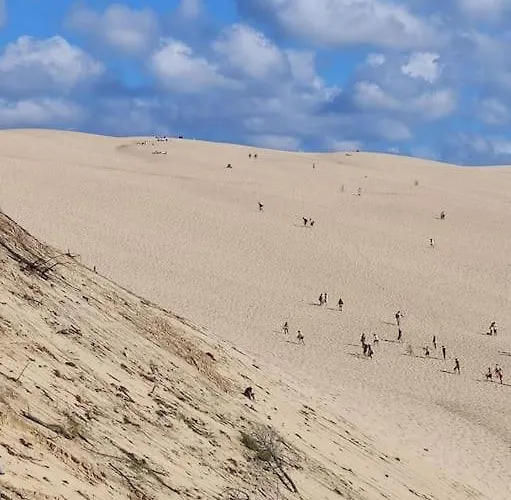 Maison Vue Sur Le Bassin, Proche Du Centre *