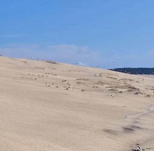 Maison Vue Sur Le Bassin, Proche Du Centre Arcachon